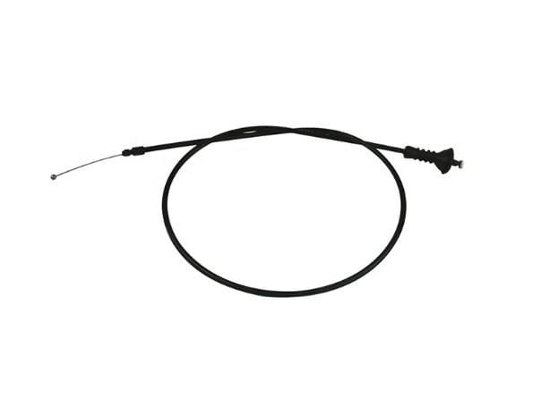Kaput Teli F10 Arka