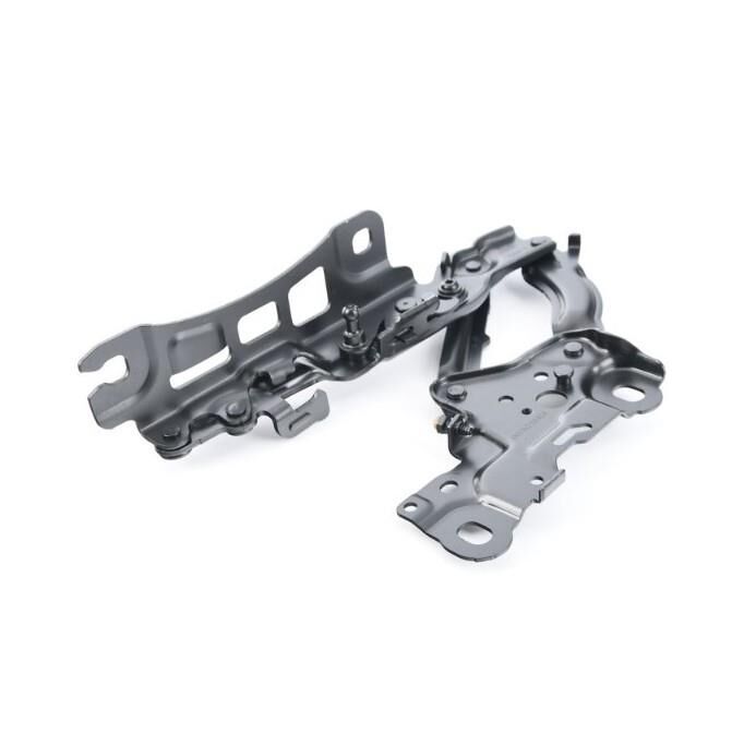 Kaput Menteşesi G20+LCI Sol 41008494431