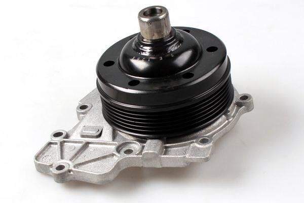 DEVİRDAİM 651  906 SPRT  KANALLI