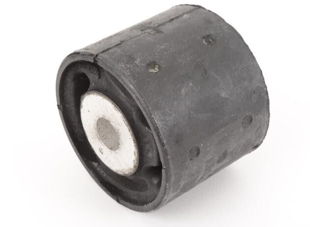 Defransiyel Burcu X5 E53