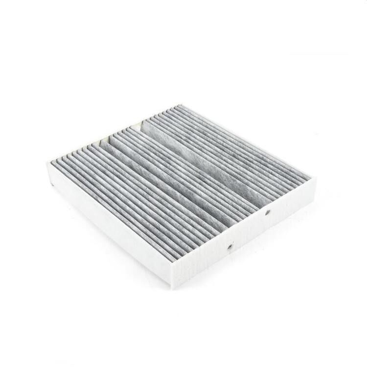 Polen Filtresi C118 W177 X247 H247 W247 Karbonlu