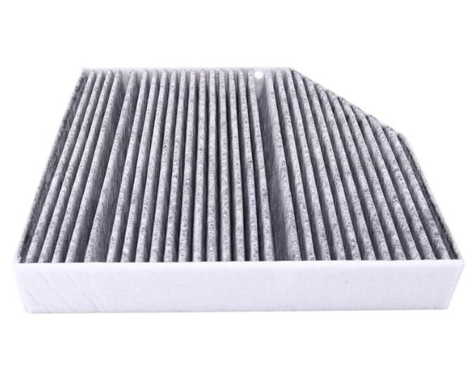Polen Filtresi W205 W206 W213 X253 C257 C167