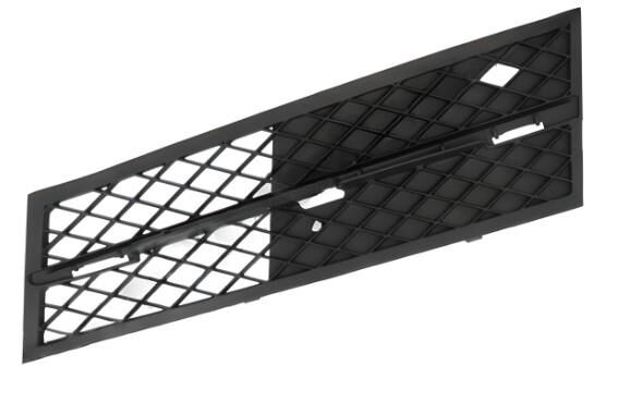 Tampon Izgarası F10 Sağ 51117200699