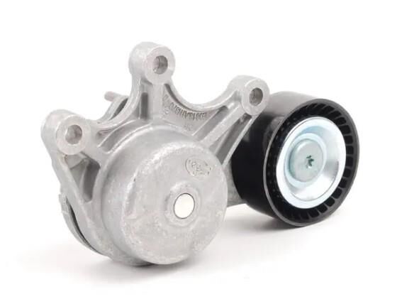 Gergi Kütüğü N20