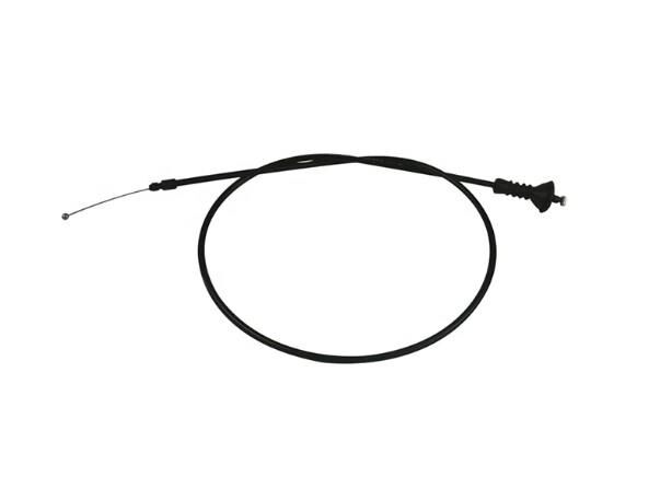 Kaput Teli F10 Arka