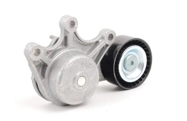 Gergi Kütüğü N20