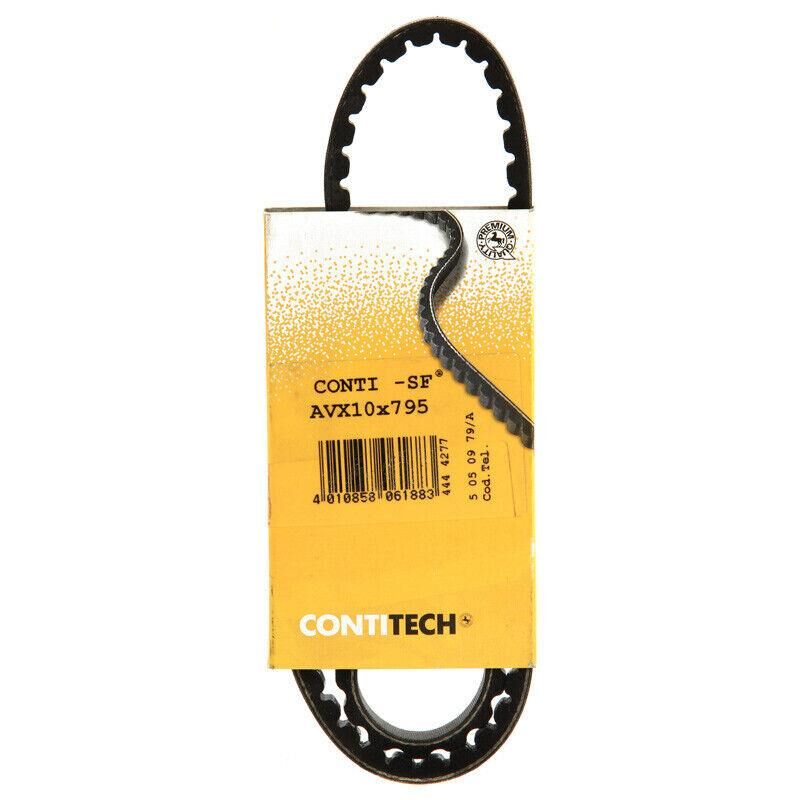AVX10X795 V Kayışı