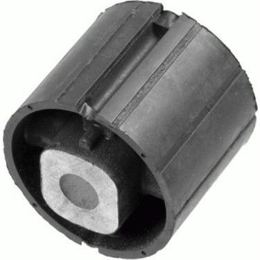 Defransiyel Burcu X5 E53