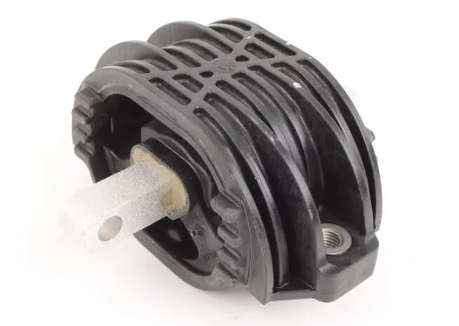 ŞANZUMAN KULAĞI F10 N20