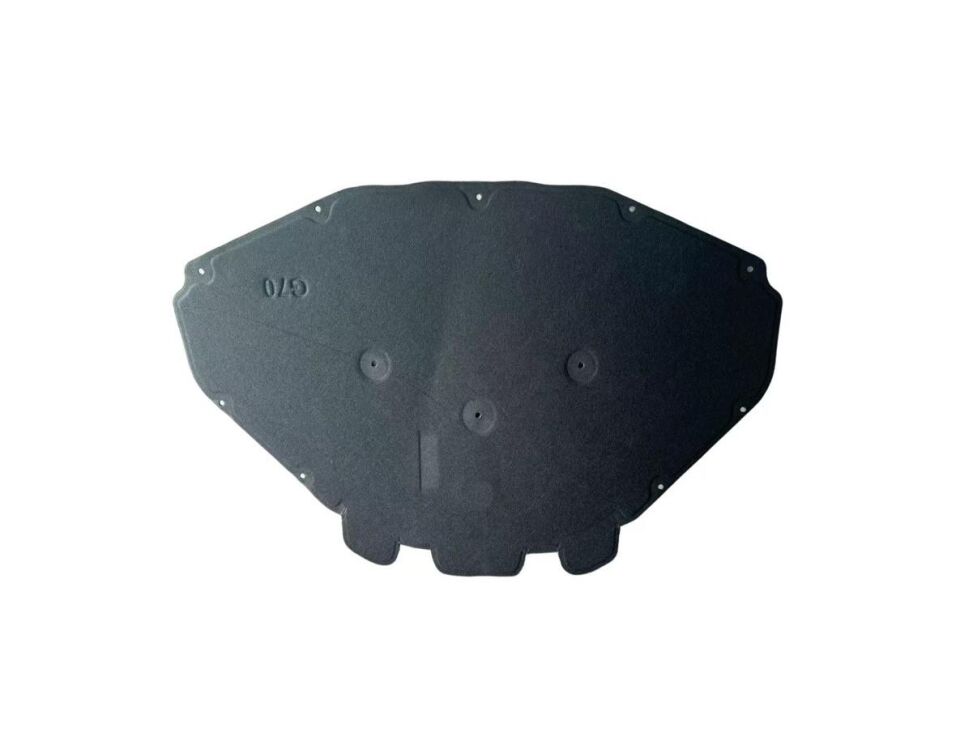Kaput Süngeri G70 51489423327
